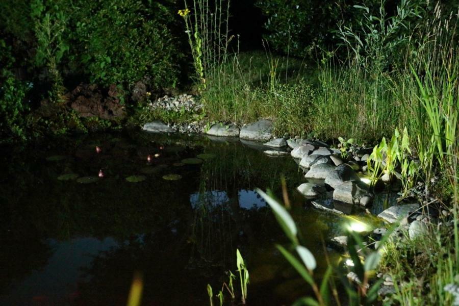 Ferienwohnung Welcome Mit Seeblick Schalkenmehren Dış mekan fotoğraf