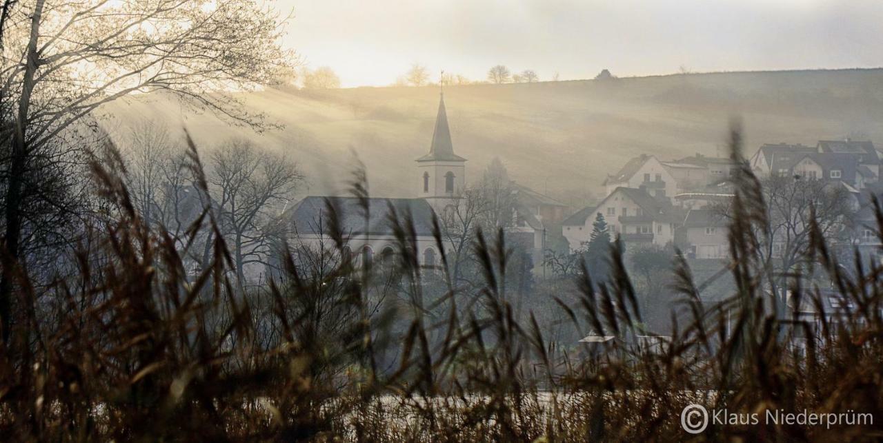 Ferienwohnung Welcome Mit Seeblick Schalkenmehren Dış mekan fotoğraf
