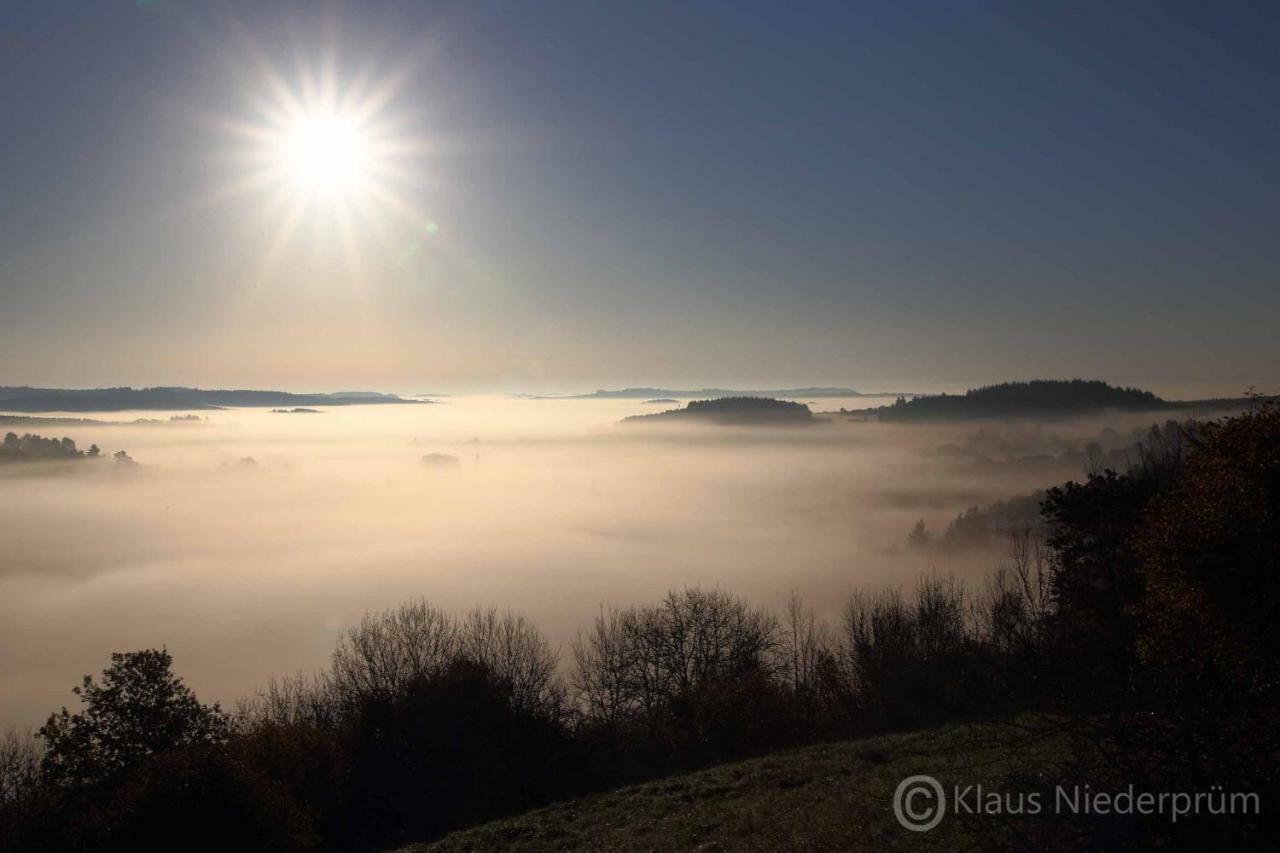 Ferienwohnung Welcome Mit Seeblick Schalkenmehren Dış mekan fotoğraf